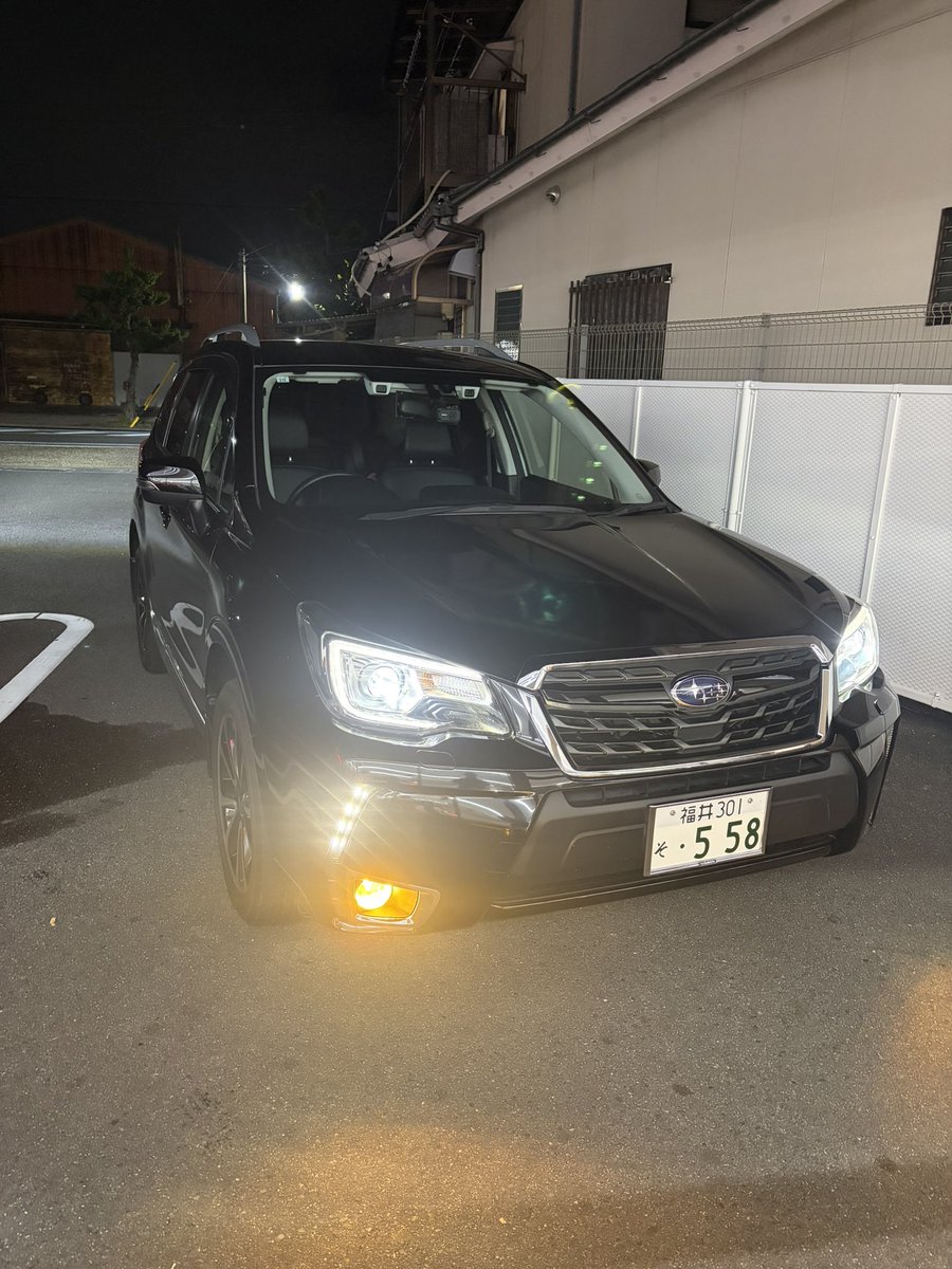 ミケロッティ tweet media