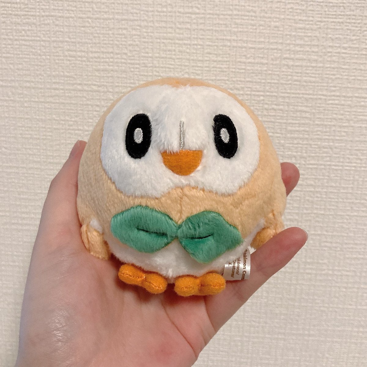 ちまのしっぽ。 tweet media