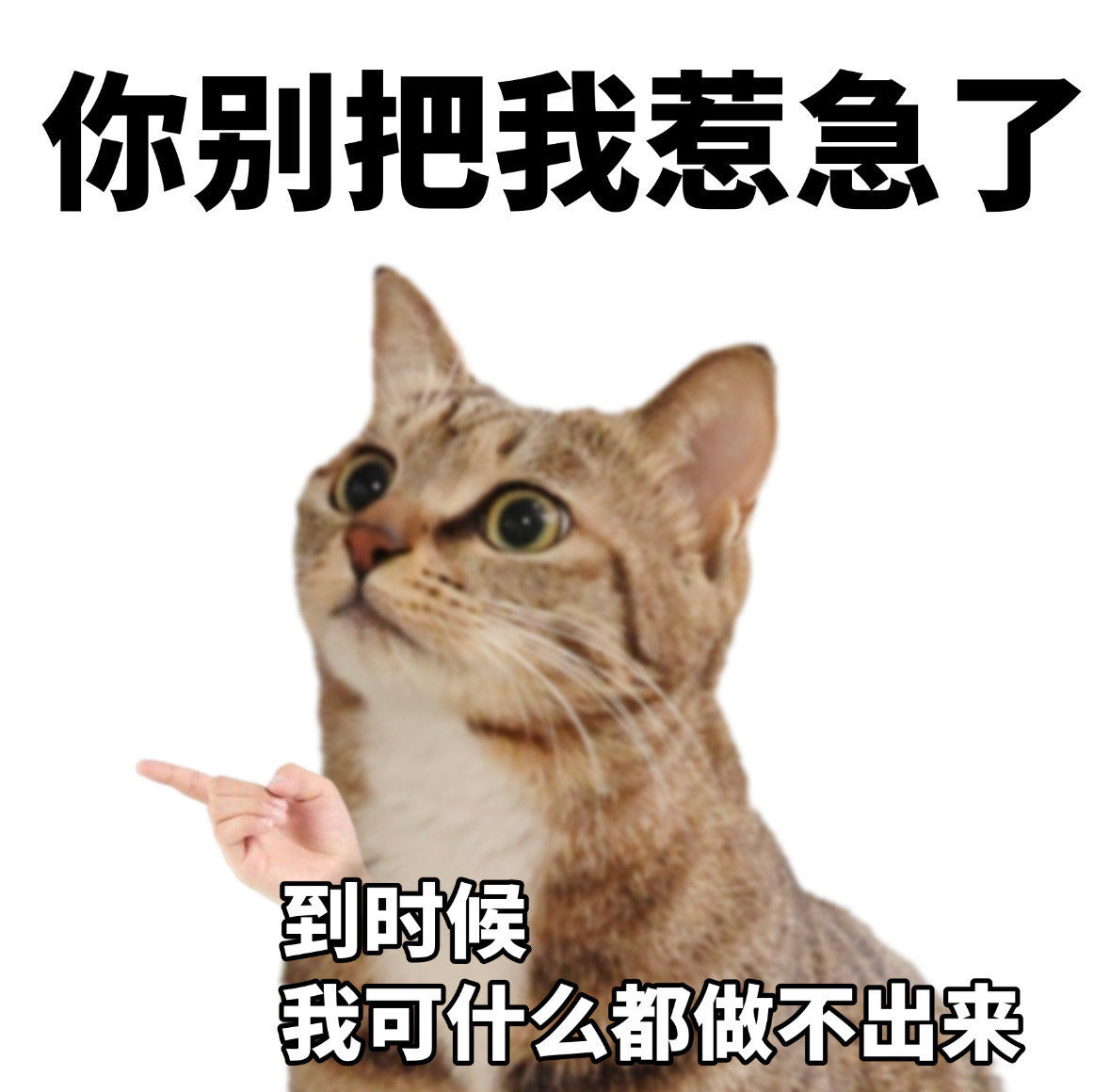 LAHOUCINE BAHFOUD tweet media