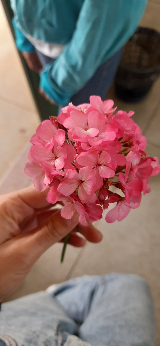 casinha🏡 tweet media