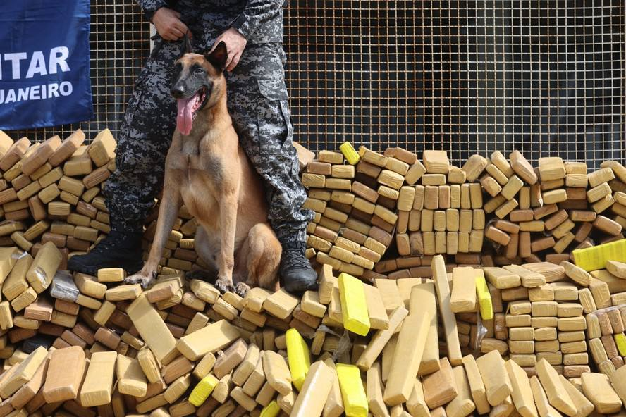 Alfred Newmann 🇧🇷 tweet media