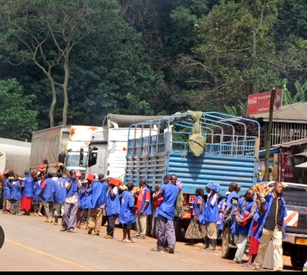 WaboyaE's tweet image. NAJJEMBE MARKET DEMOLISHED 🚨⚠️

In a major enforcement operation, authorities have completely demolished the popular roadside Najjembe Market located within Mabira forest along the Kampala-Jinja highway

The demolition is set to significantly affect travellers heading to Eastern
