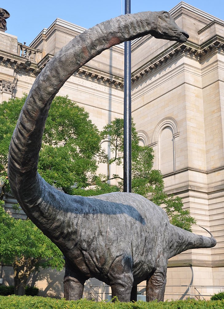 Taylor McCoy 🦖 tweet media