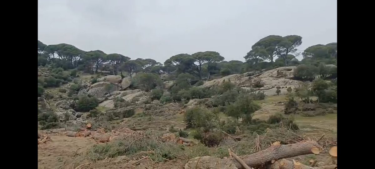 Özer Akdemir tweet media