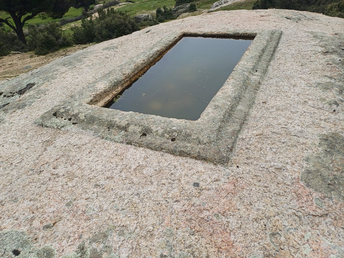 Özer Akdemir tweet media