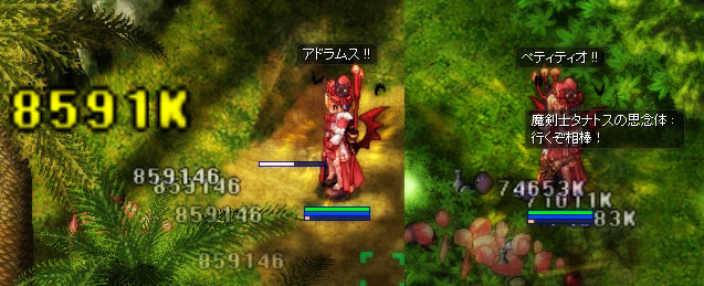 シアリ tweet media