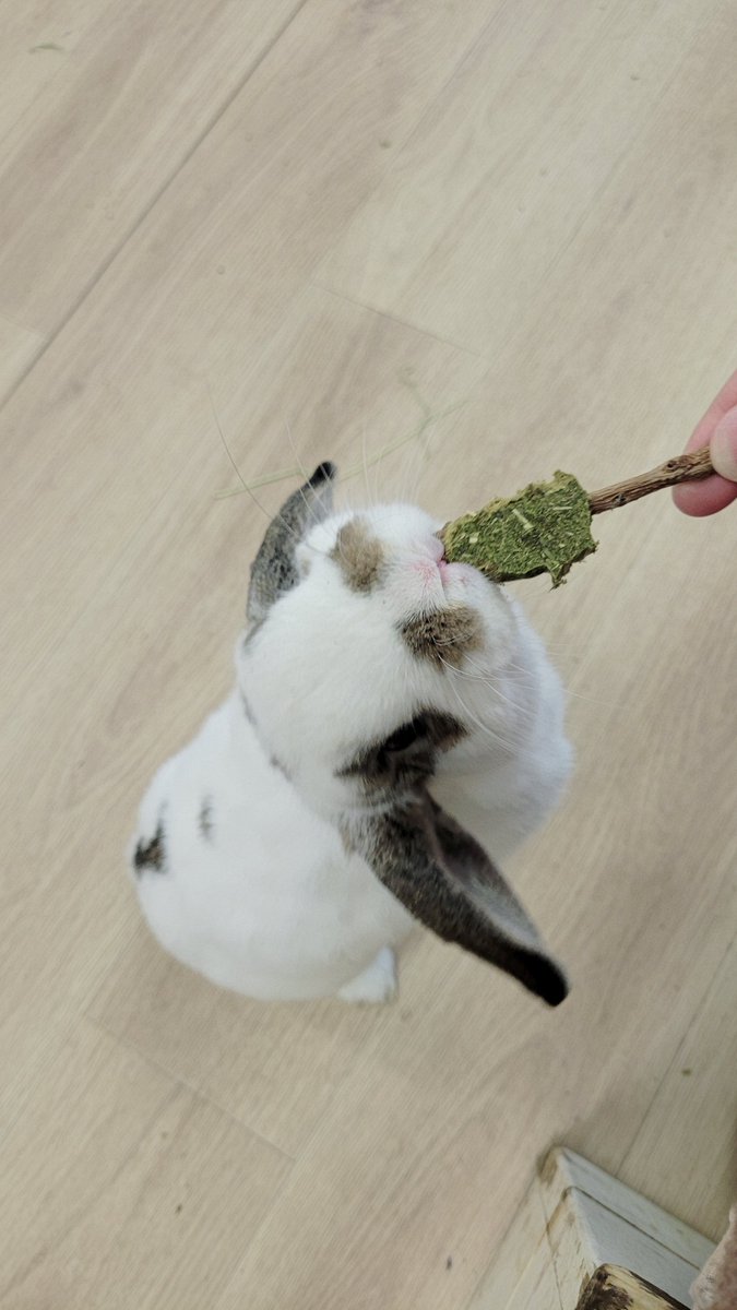 さっちゃん🍵 tweet media