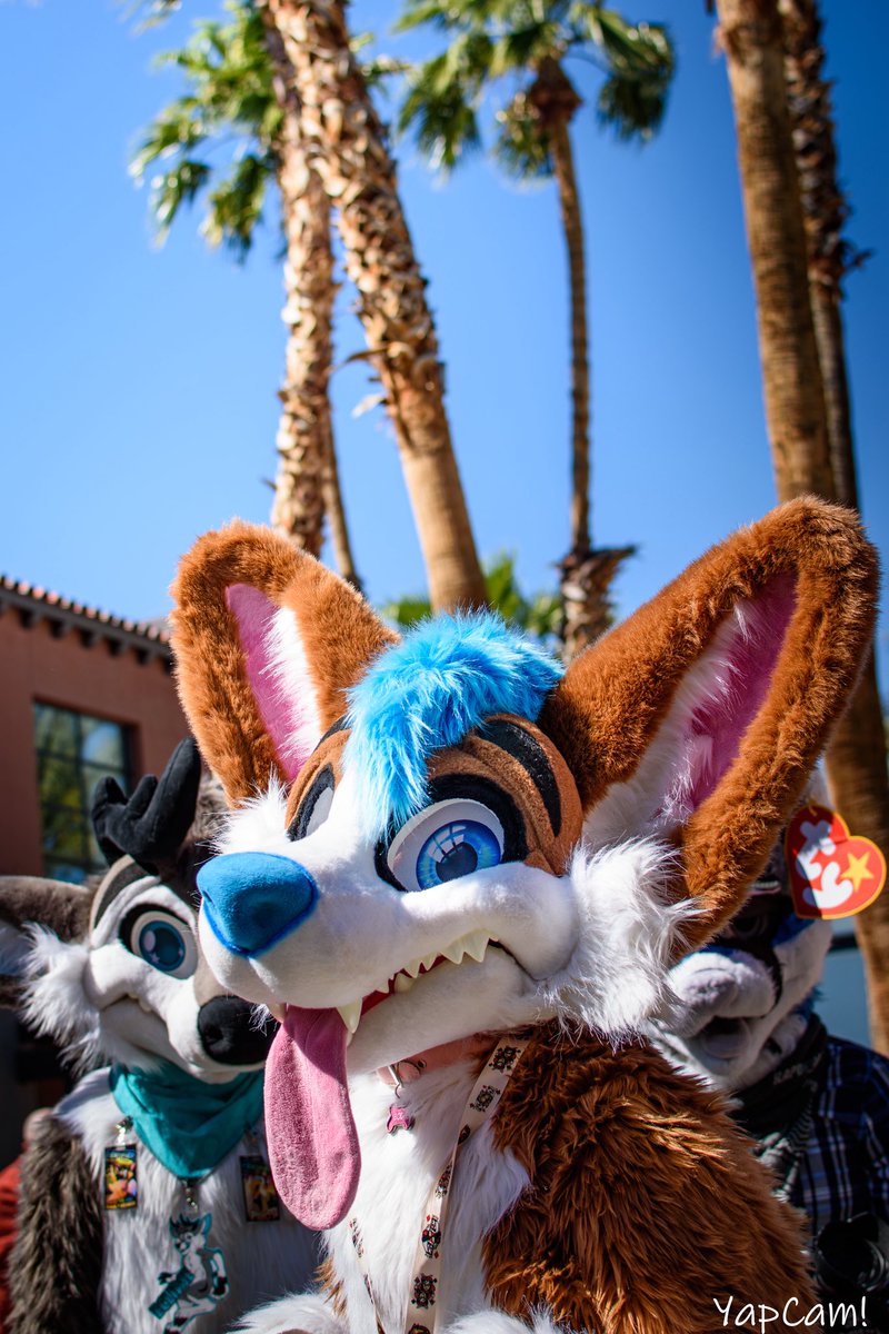 woooof don’t look but i think there’s a deer behind me

📷: <a href="/eleianyaps/">Mr. Yappers</a> 

🦌: <a href="/EclipseDurr/">Eclipse🦌➡️LVFC/FWA/MP</a>

#fursuitfriday