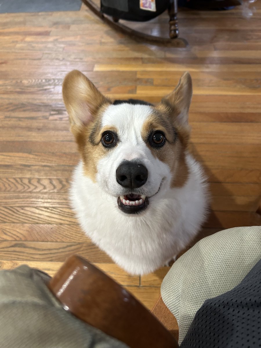 Skye Bergan tweet media