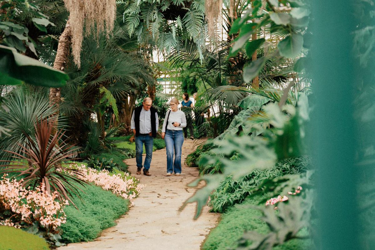 MonarchieBe's tweet photo. 🌿✨  Les Serres royales de Laeken ont accueilli leurs tout premiers visiteurs aujourd’hui !
Vous n'avez pas encore de billet d’entrée ? Bonne nouvelle : des billets supplémentaires sont désormais disponibles — ne manquez pas cette opportunité unique ! 👇 https://t.co/jmoVkAidkx