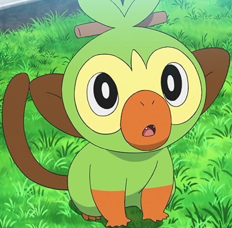 dot 🦔 tweet media