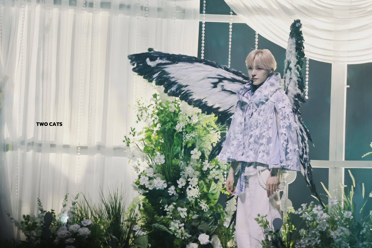 𝑻𝑾𝑶 𝑪𝑨𝑻𝑺 tweet media