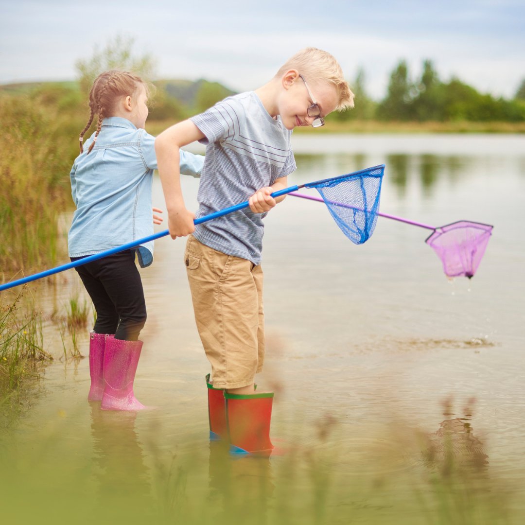 Healthy Ponds tweet media