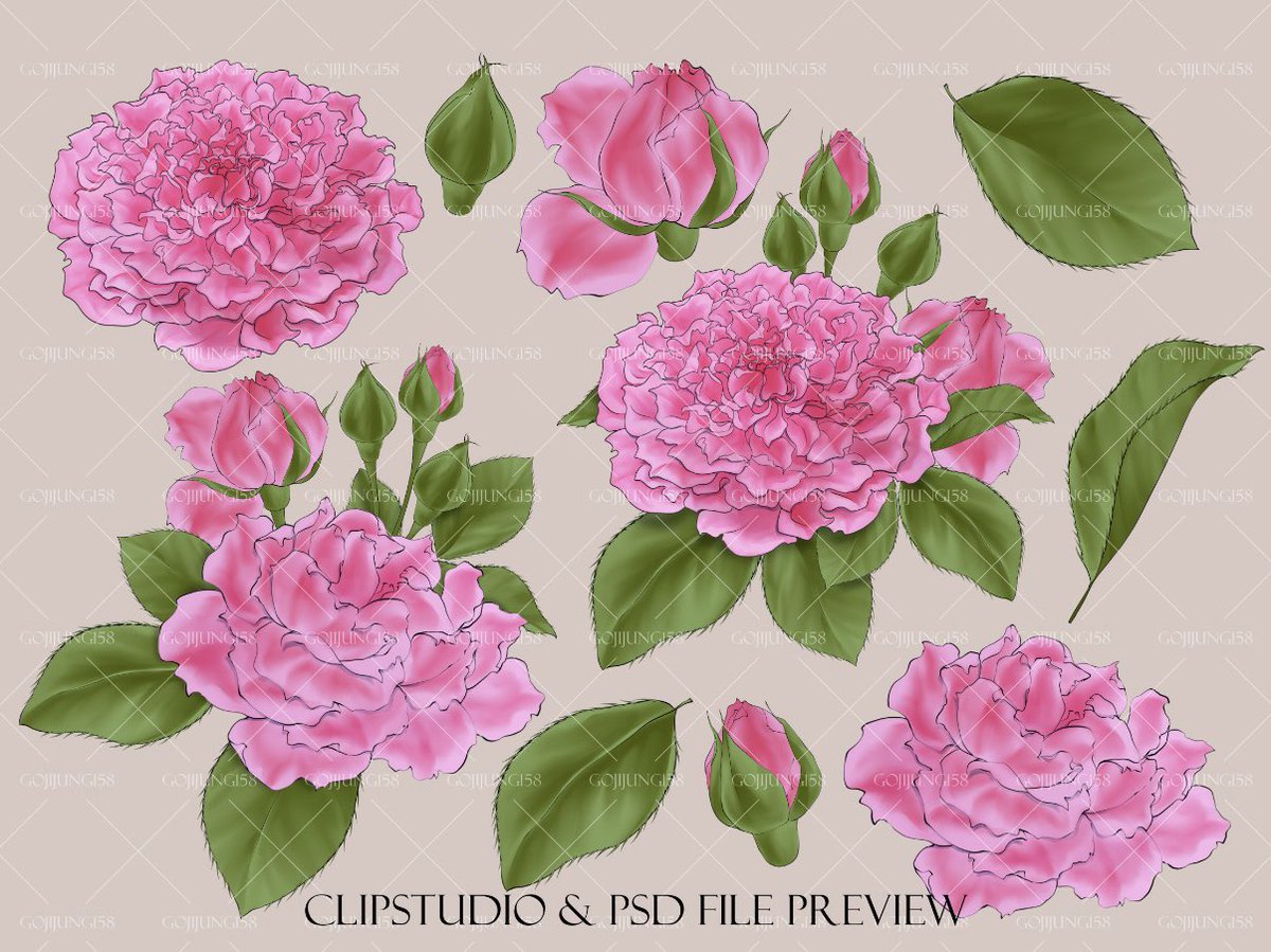 ไม่เชิงศิลปะวัฒนธรรมแต่สนใจของในพื้นที่มากขึ้น เราหัดวาดดอกกุหลาบมอญครั้งแรกตอนที่อ่านอโยธยาเอยาวดีค่ะ เราเห็นนั่งหากันว่าในเรื่องคือพันธุ์อะไร อธิบาย+เทียบสายพันธุ์ในไทยแล้วรู้สึกสนใจมากก็เลยไปนั่งดูโครงสร้างดอกและหัดวาดทุกสายพันธุ์ที่มีในไทยค่ะ