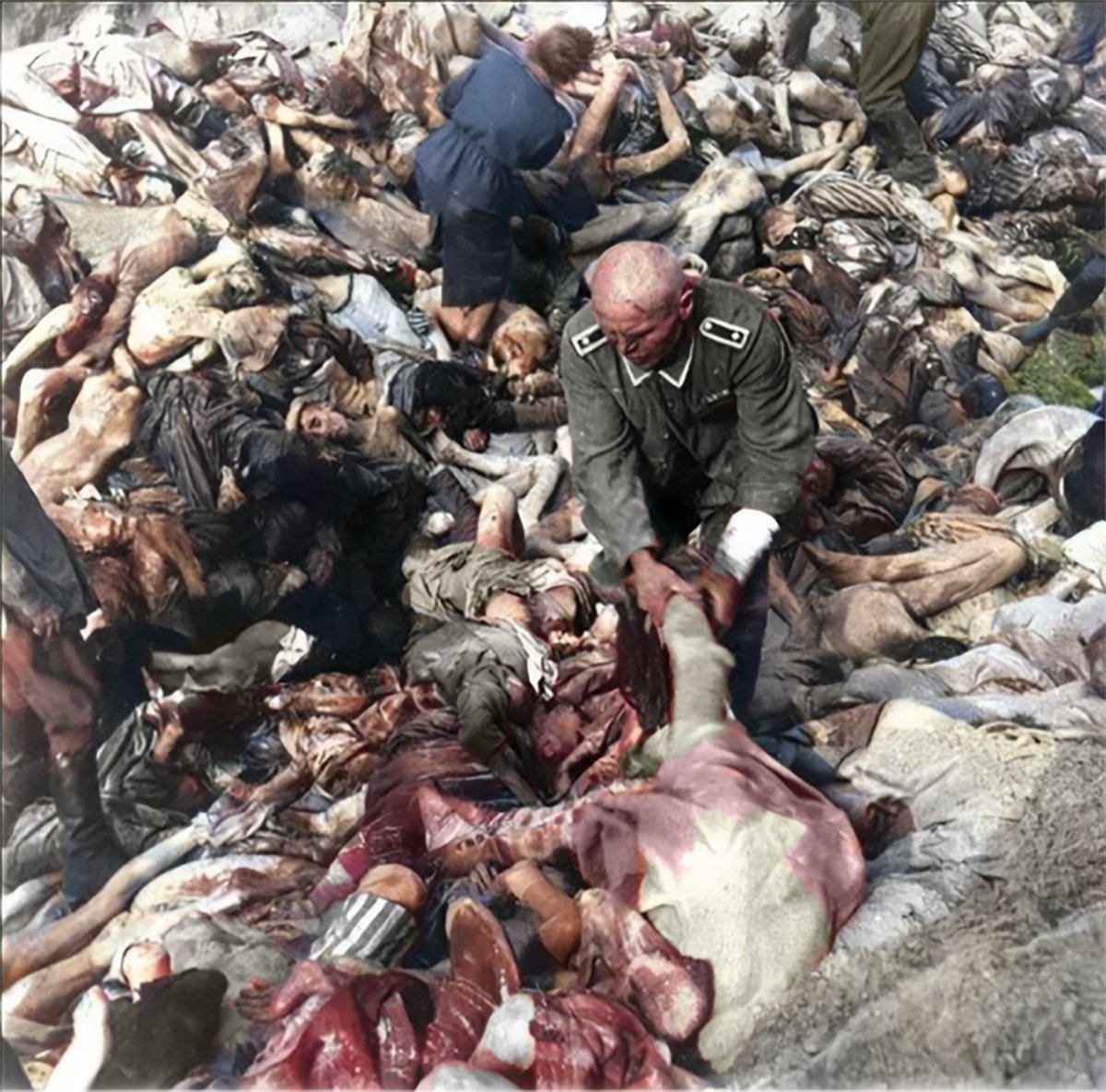 DaniMayakovski's tweet photo. En la foto, Friedrich Herzog, sargento nazi de las SS, es obligado a enterrar los cuerpos de las personas a las que él dio órdenes de asesinar, en el campo de exterminio de Bergen.

Semanas después, Herzog murió de tifus tras contagiarse con los cadáveres.

17 de abril de 1945. https://t.co/rcIXl0Sws6