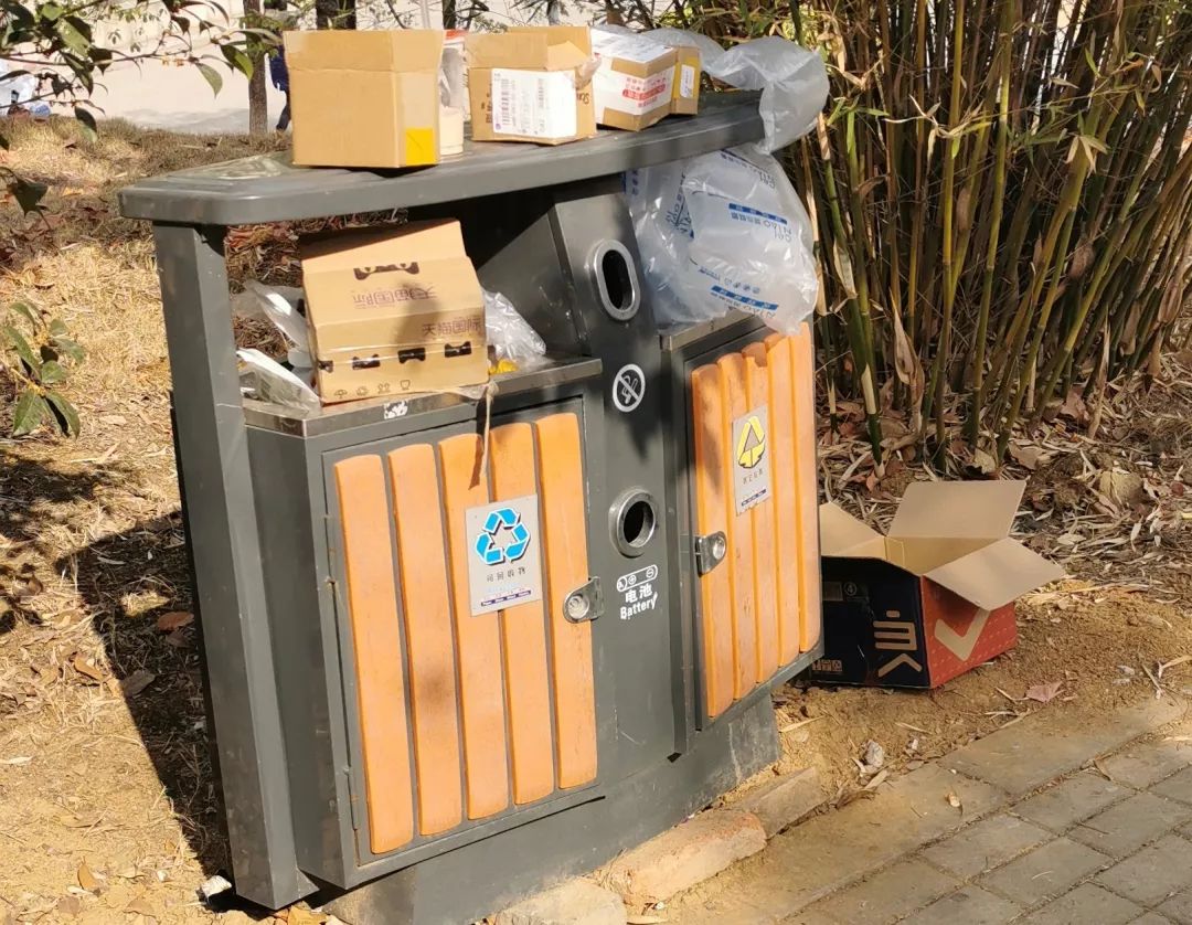 carlos federico bell tweet media