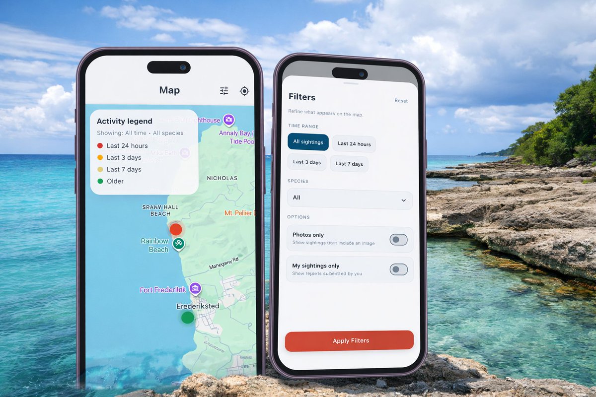 usvilife's tweet photo. 📱Stay informed before you step into the water. The Coast Clear app helps you track recent shark sightings and report activity in real time—built with St. Croix in mind. 🦈📍

Read more: https://t.co/SAljmNq92I

#USVILife #CoastClear #StCroix #BeachSafety #SharkAwareness https://t.co/DrfZPASuVj