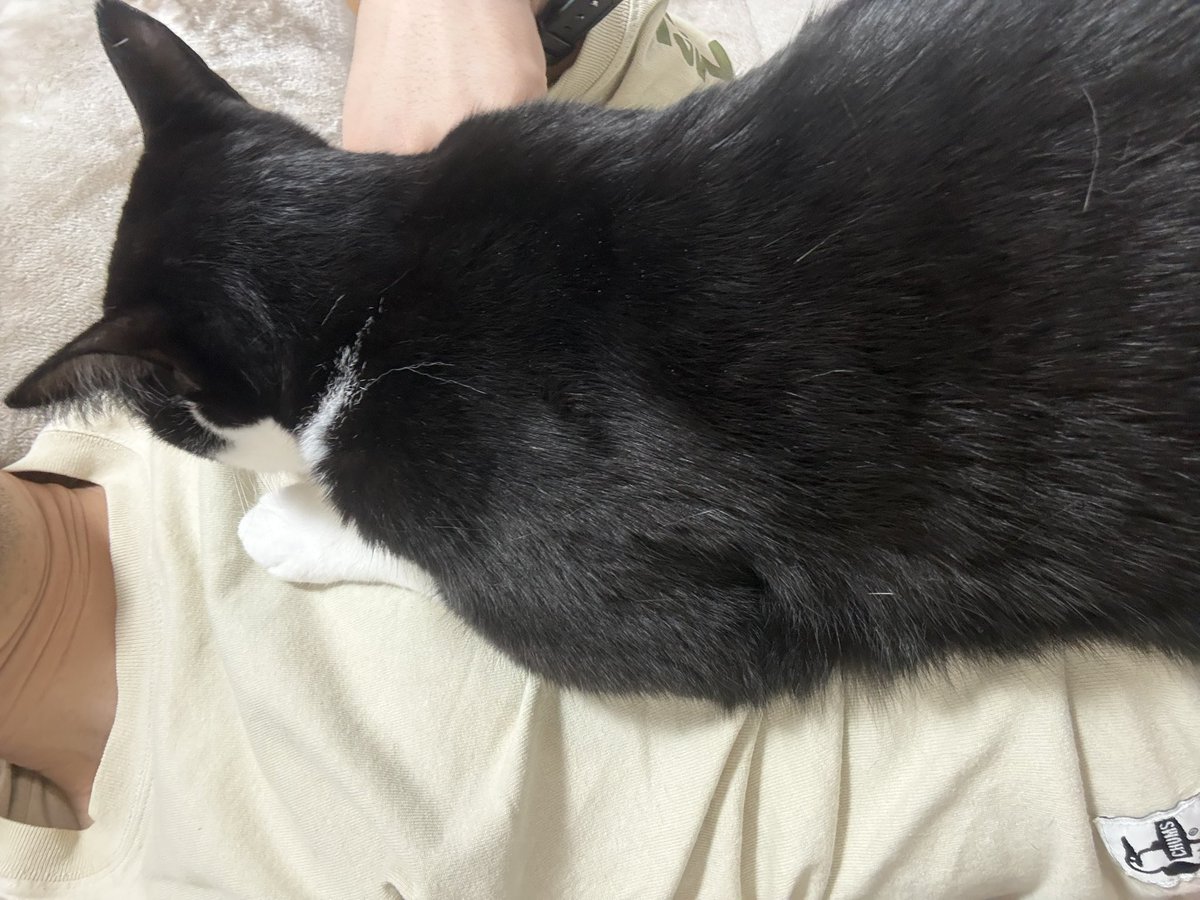 NASDAQは迅悠一@NBA tweet media