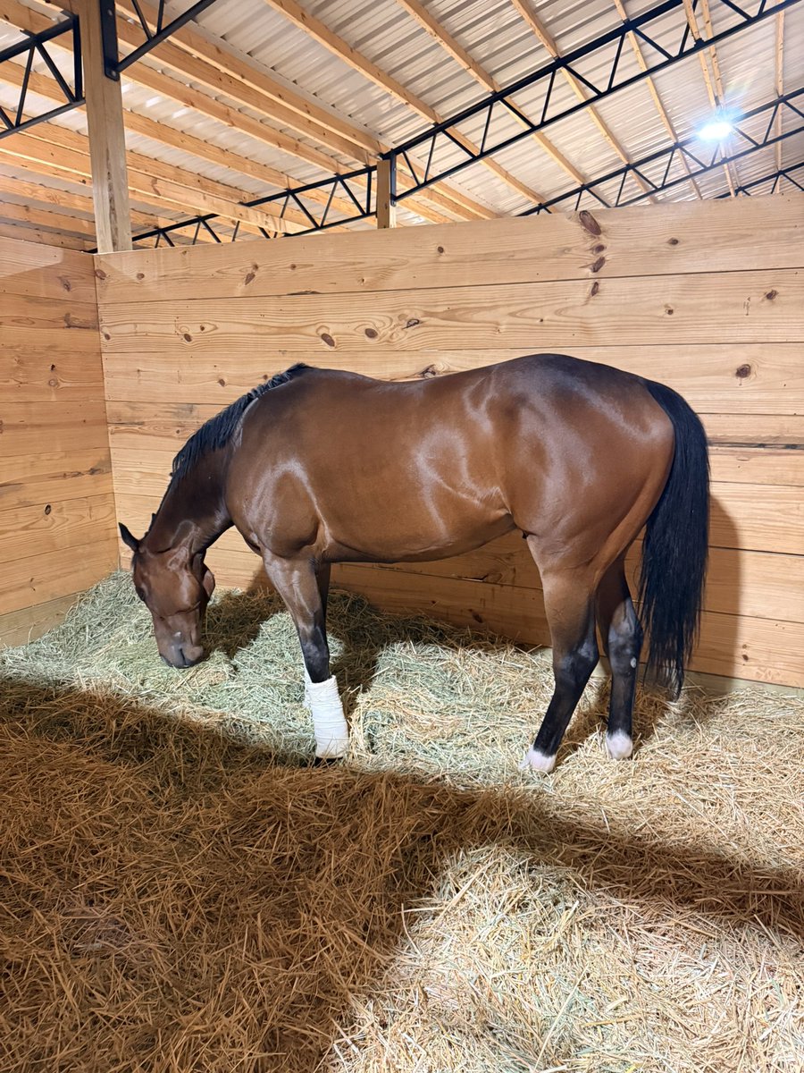 TwoDsracing's tweet photo. Well it’s race day at Oaklawn.  We need a huge effort   Let’s get Luck https://t.co/7DJQUQ4fe9