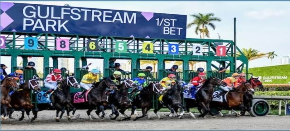 Horse Racing tweet media