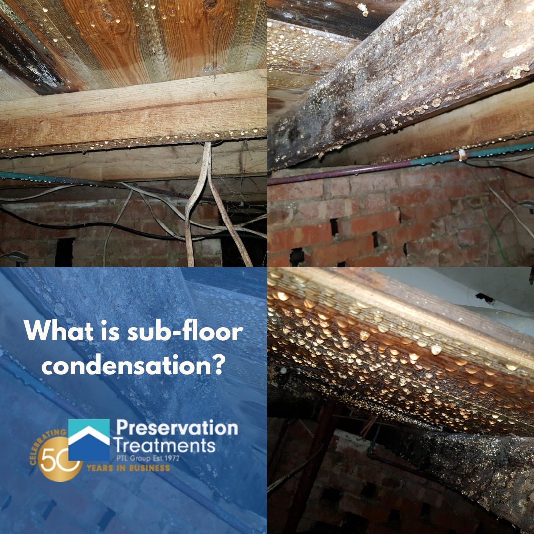 PresTreatments's tweet image. 💧 What is Sub-Floor Condensation?

You might see it mentioned in a surveyor’s report, but what does it actually mean?

Want to know what’s lurking below your floorboards? 👀
Contact us today: preservationtreatments.co.uk

#PreservationTreatments #SubFloorCondensation #HomeCare