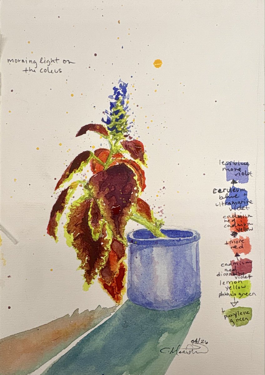 mococartin tweet media