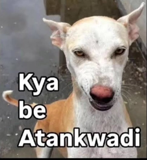 Sampreeth tweet media