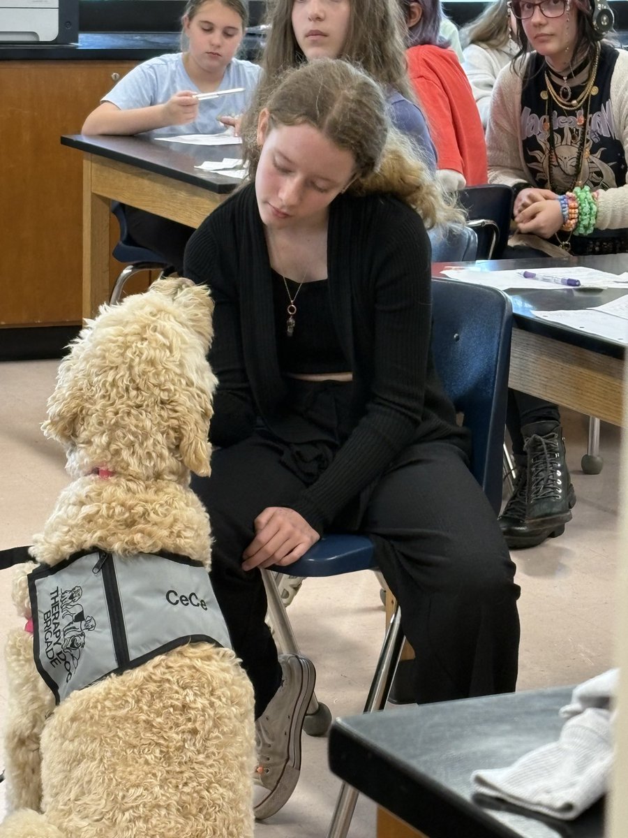 Greenwich Public Schools (aka Ms. Pia Ledina) tweet media