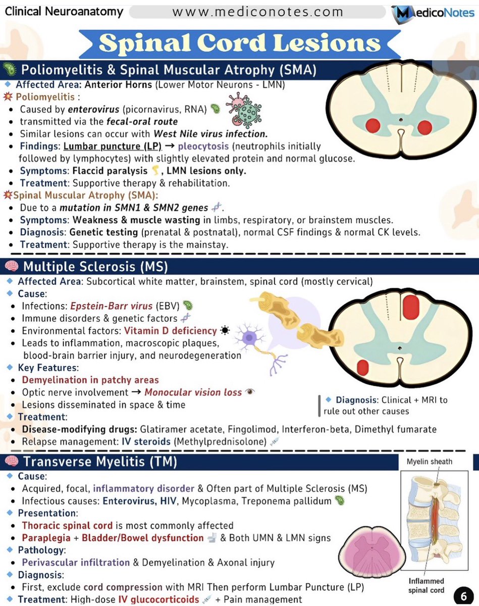 MedicoNotes tweet media