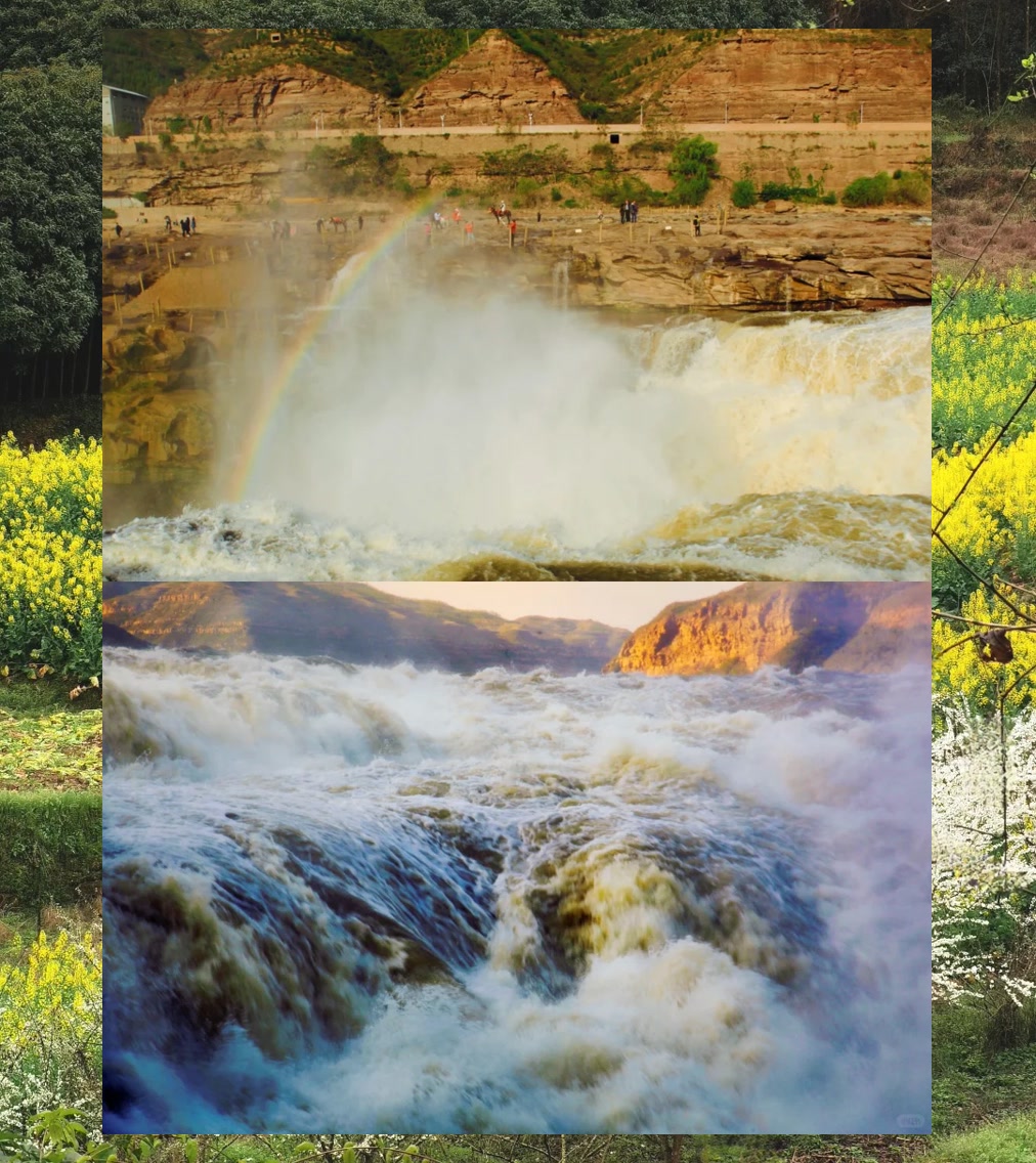 Devon Adler tweet media