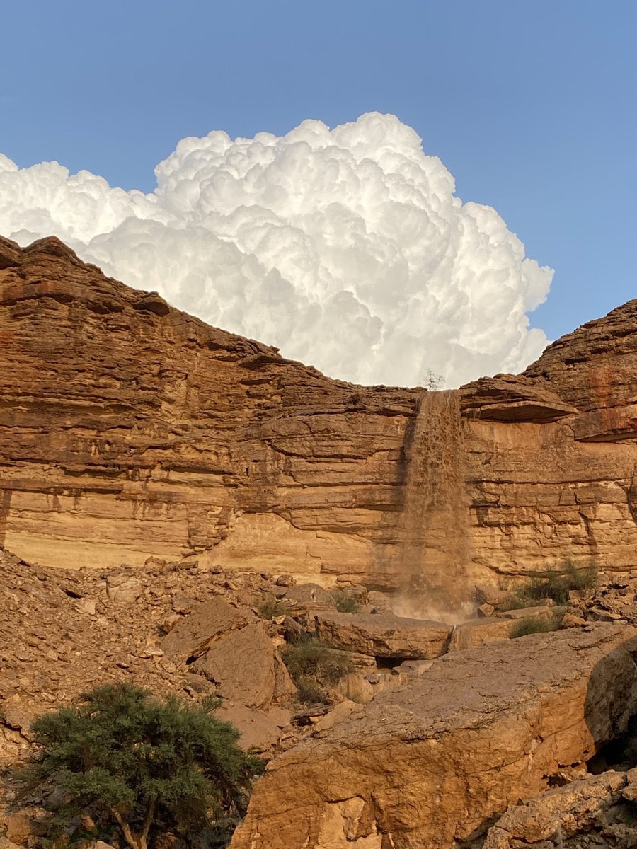 الصلبوخي tweet media