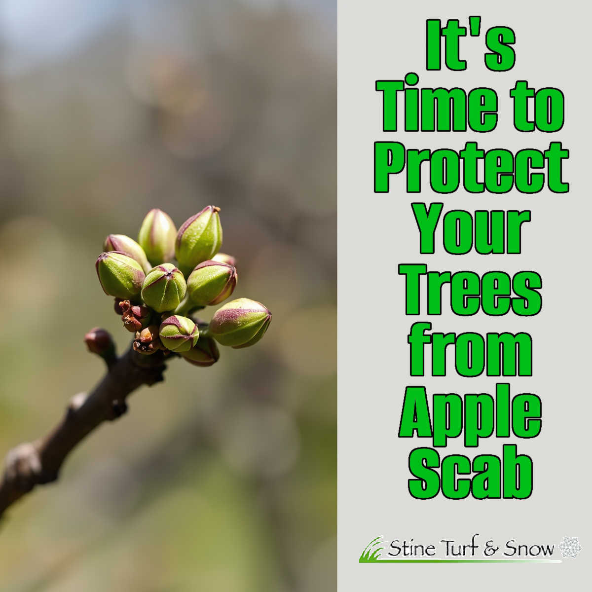 Stine Turf & Snow tweet media