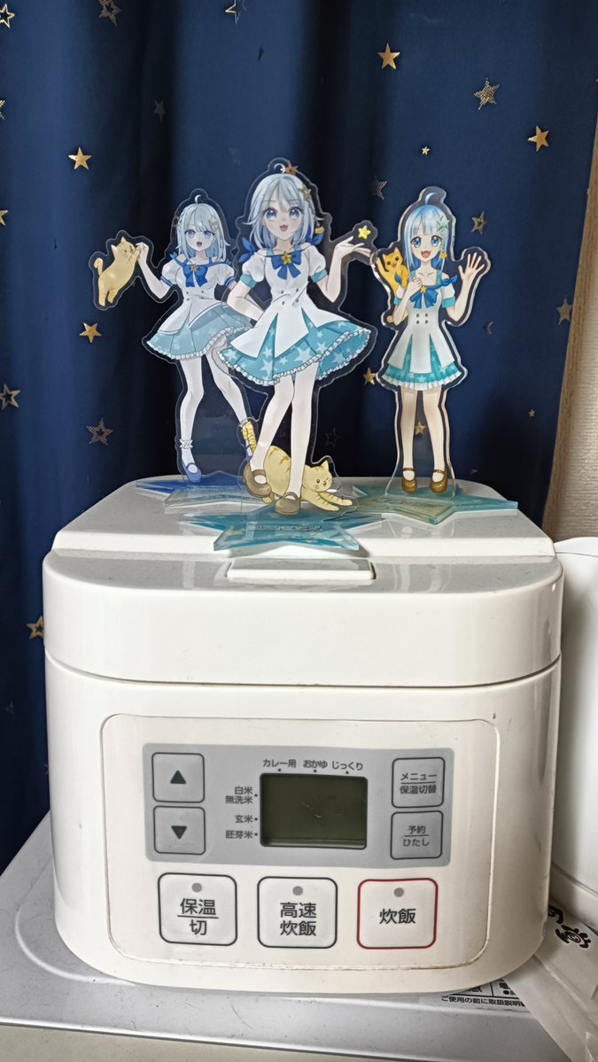 幼馴染に使う気ないじゃん。って言われた炊飯器がこれ