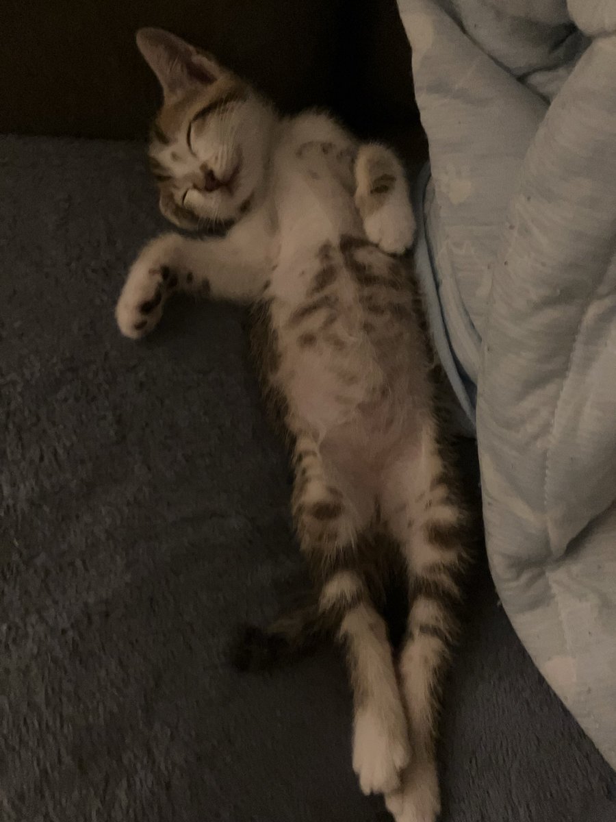 かっち tweet media