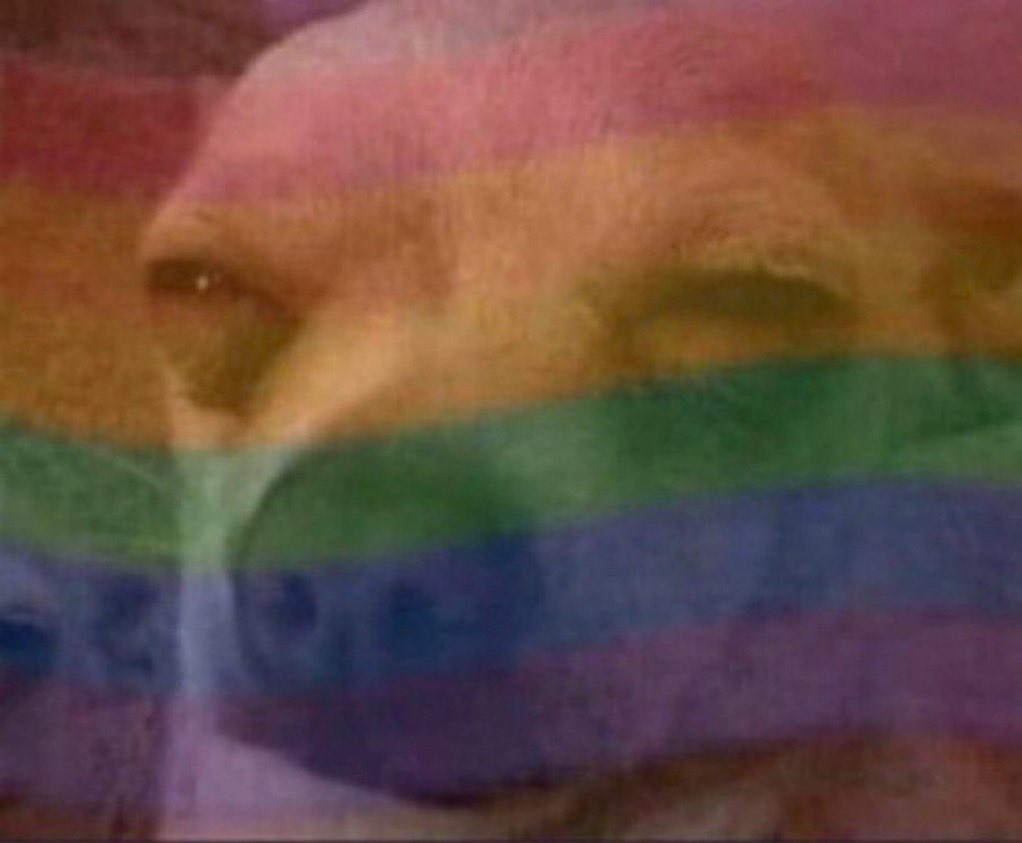 Alv!n☆💫 tweet media