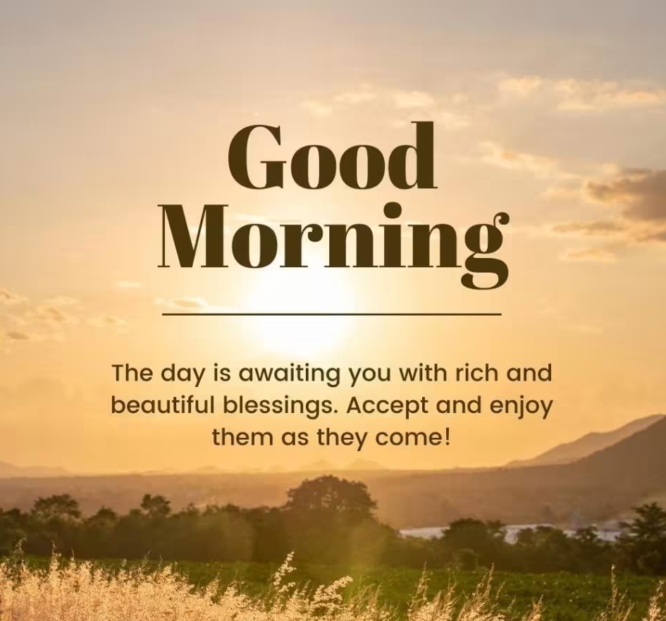 douglasjernest's tweet image. Good morning! God bless you on this beautiful day 🙏✨

#GoodMorning #GodBlessYou #BlessedDay #PositiveVibes #Faith #Gratitude