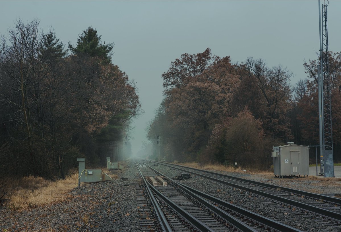 Cowboy the Terrible tweet media