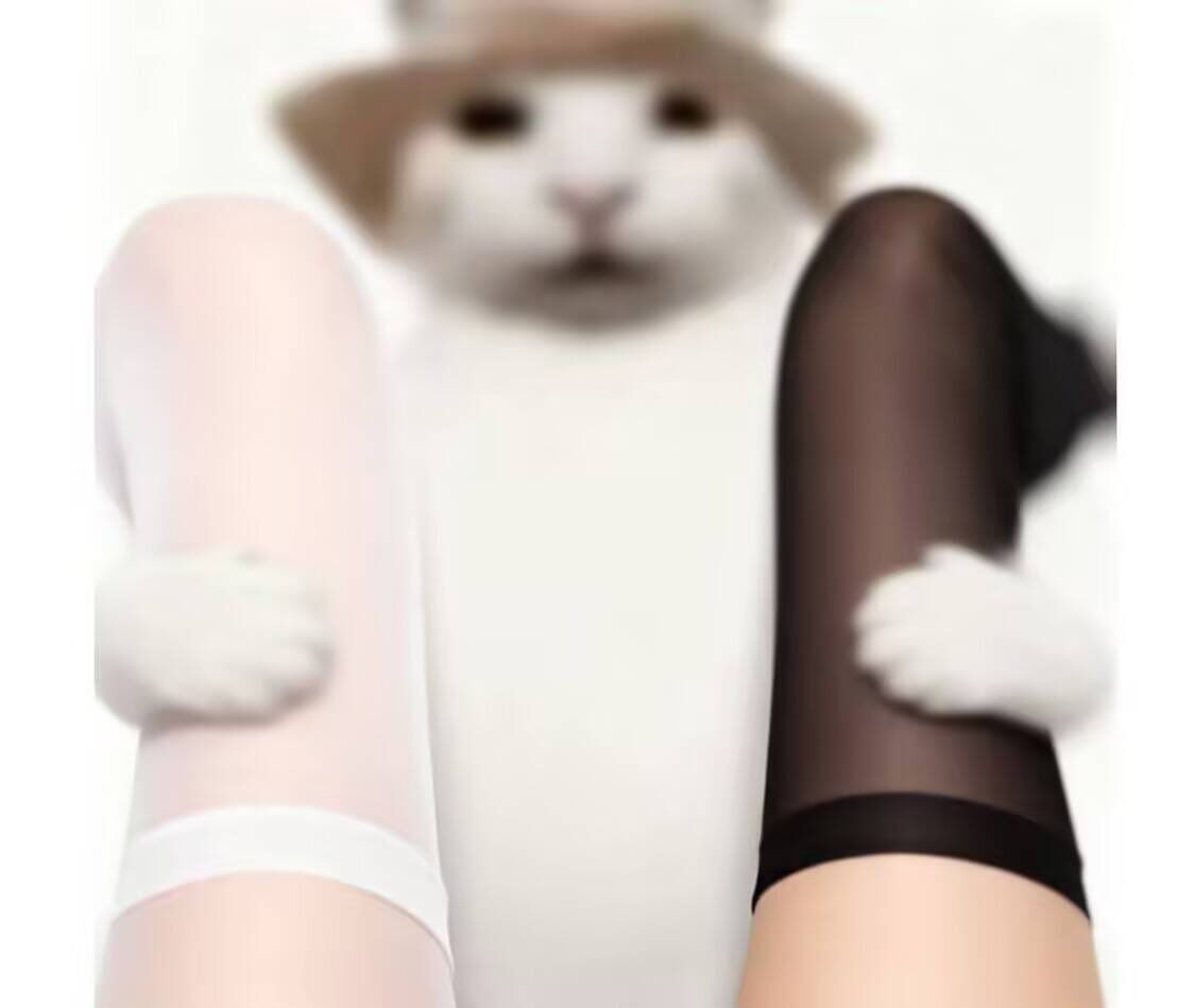 喜多川💕 tweet media