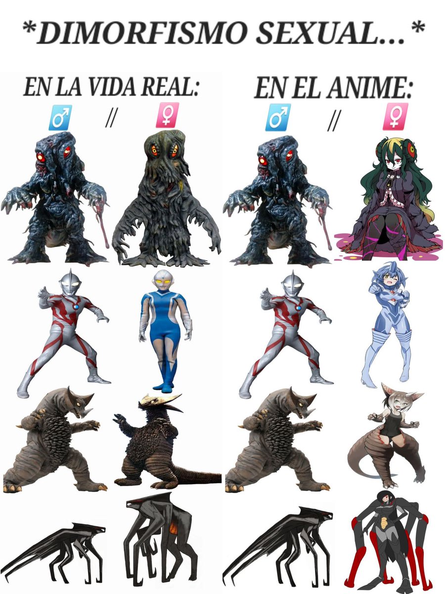 Kim Hellaway tweet media