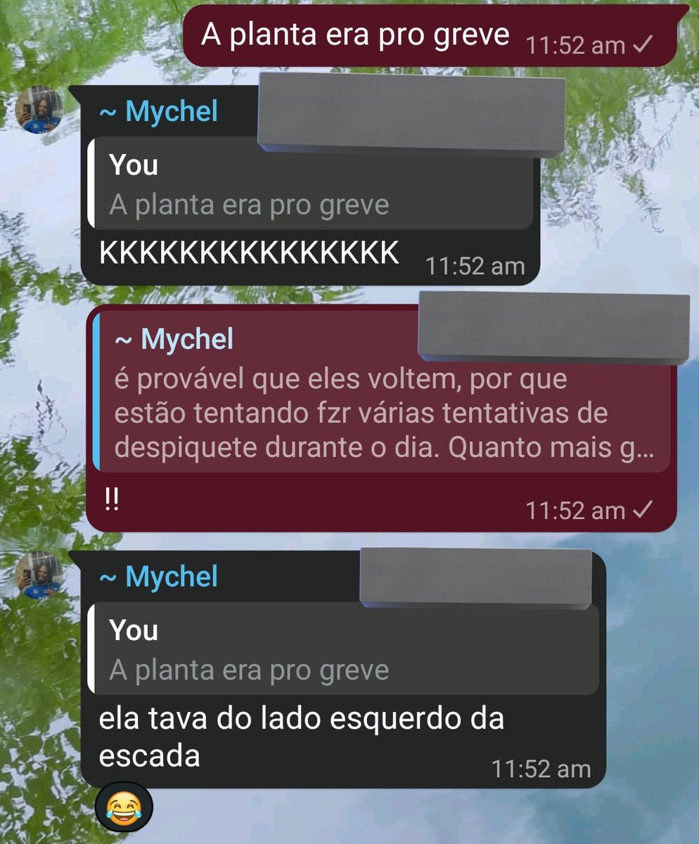 A coitada da planta da poli vei