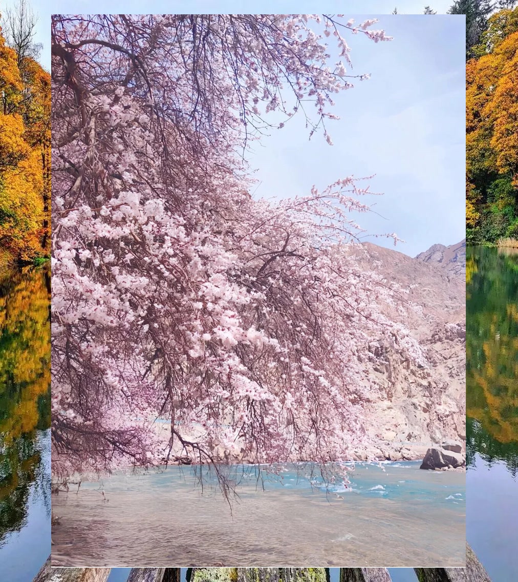 Susan Thomas tweet media