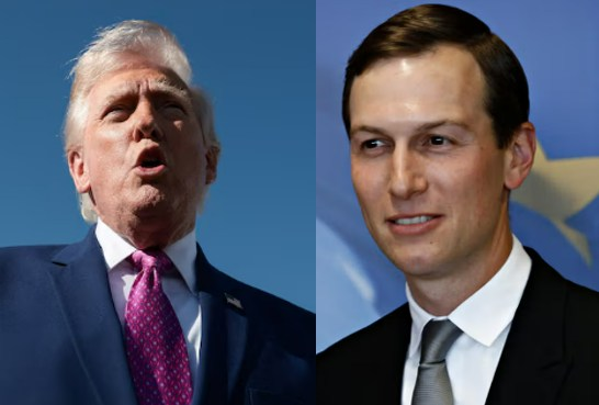 Occupy Democrats tweet media