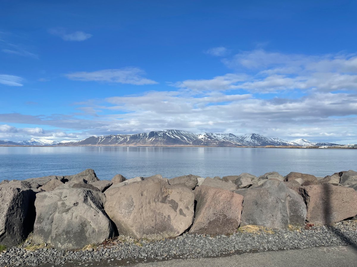 Sitting on a bench facing this view, when a lady on a combined bike ride / dog walk paused to put a bag of the stinkiest dog poo into the bin beside me. It had me gagging, so I had to leave. Why are people?