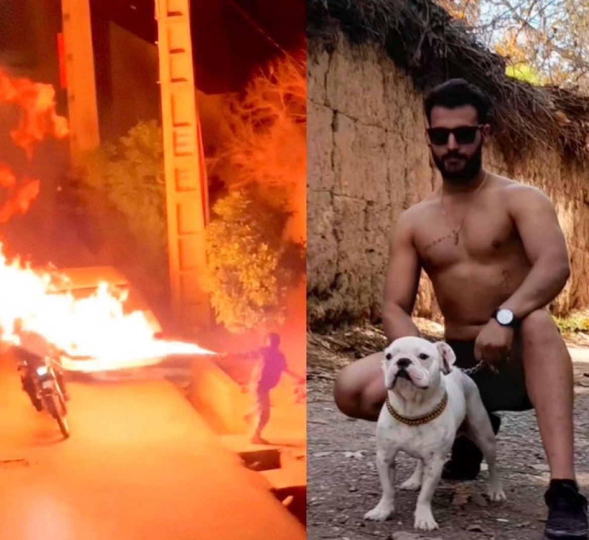 Hamidreza tweet media