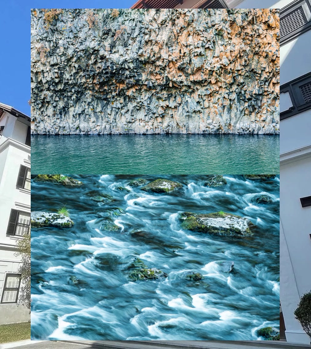 Bryan Castillo tweet media