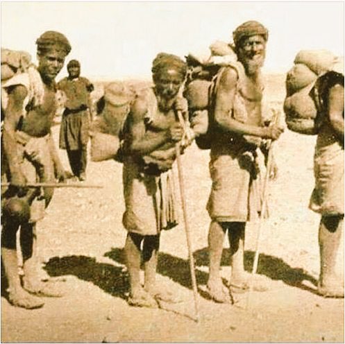 beautiful Arab⁦⁦ tweet media