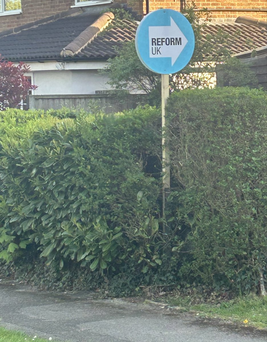 Danielle Davies tweet media