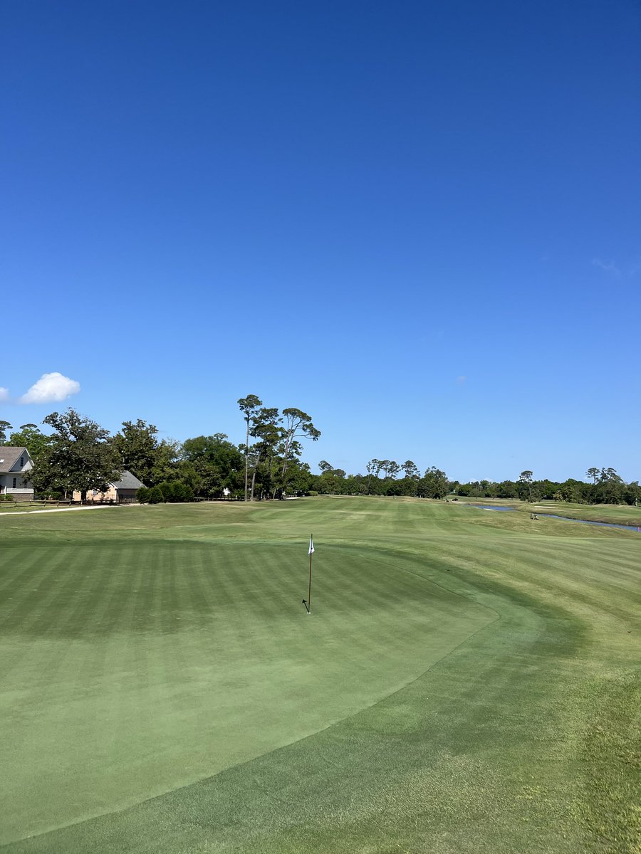 Pensacola CC Greens & Grounds tweet media