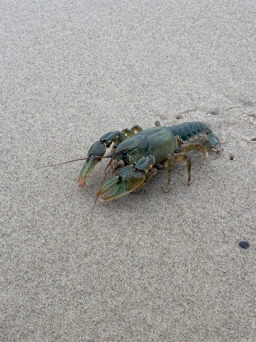 James of Michigan 🌲 tweet media