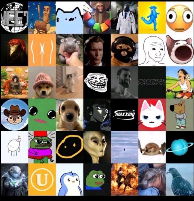 CryptoThro's tweet image. What are we bidding for the inevitable #BULL run?

#100x #gems